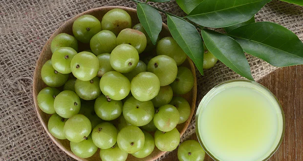 No More Mistakes With BENEFITS OF AMLA